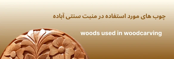 منبت کاری
